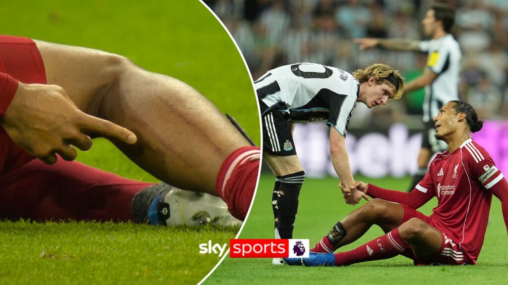 Anthony Gordon meminta maaf kepada Virgil van Dijk-Bola Banter